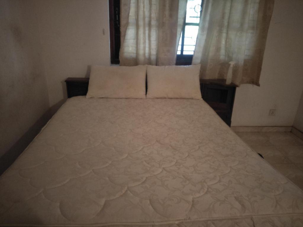 Airport home stay photo 4