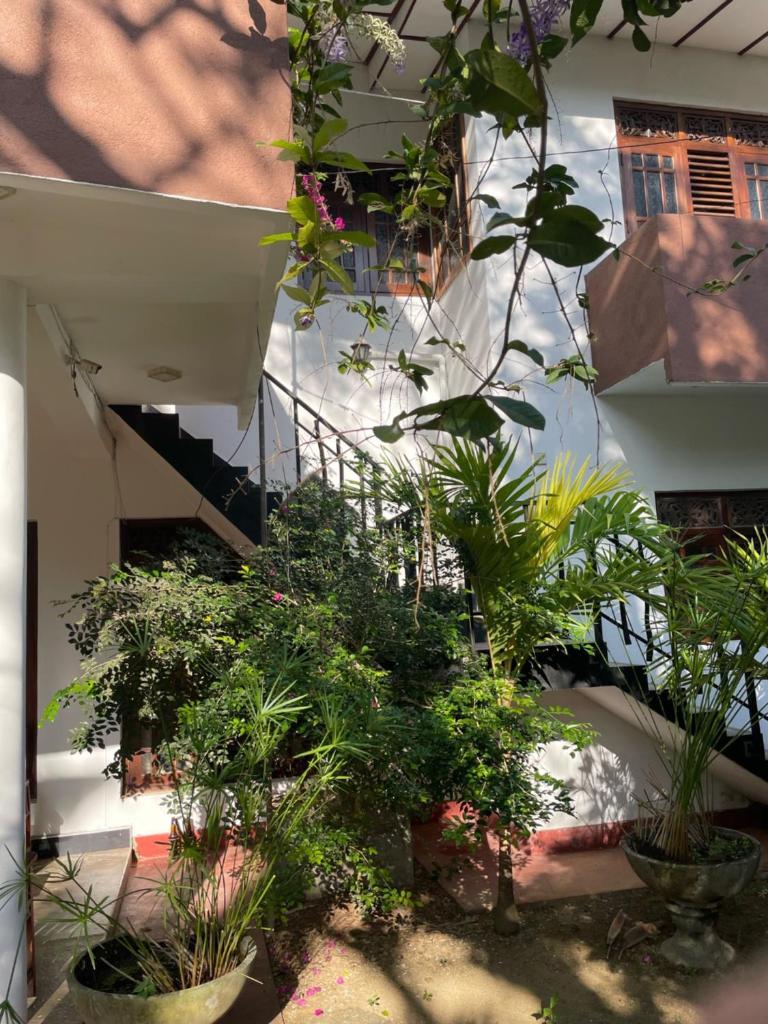 Windy Garden photo 4