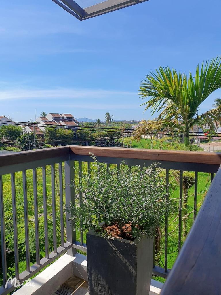 Hội An Lemongrass Homestay