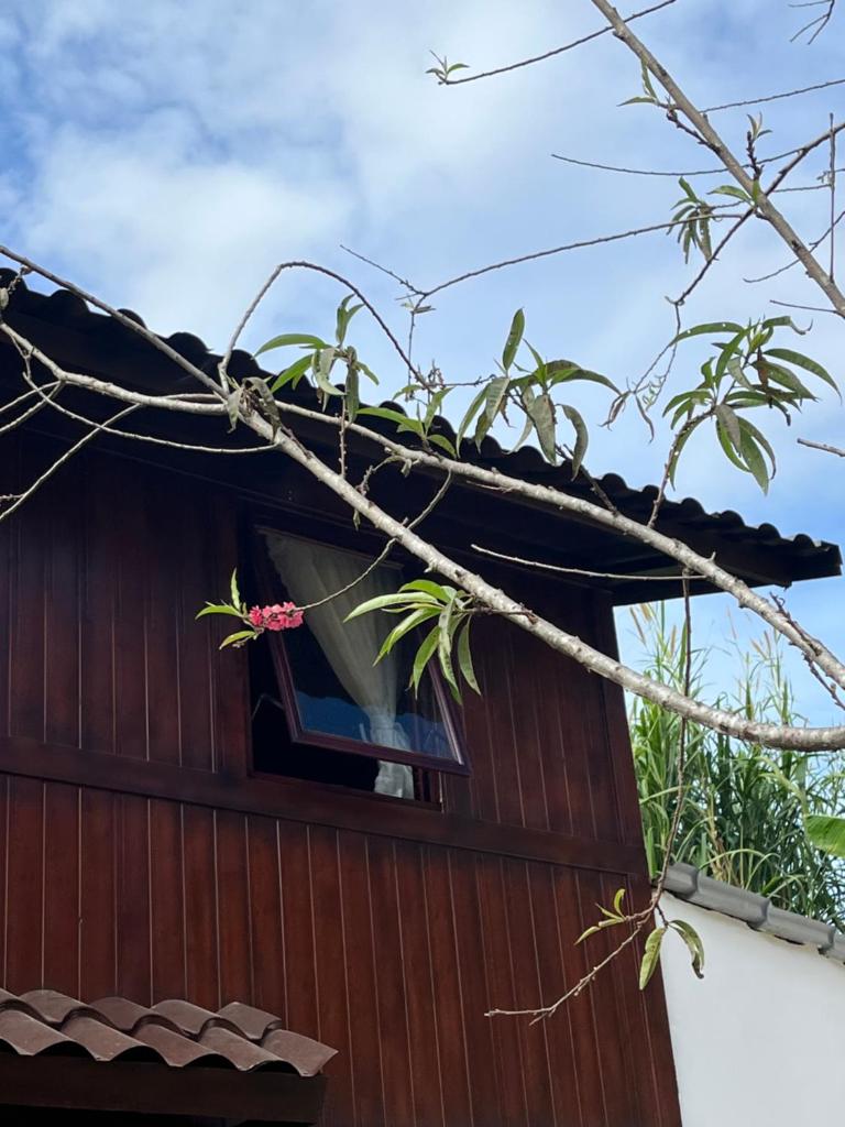 Một căn nhà gỗ ấm áp photo 1