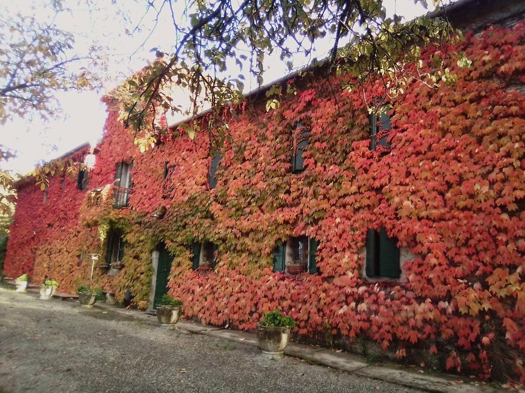 Agriturismo Casanuova photo 4