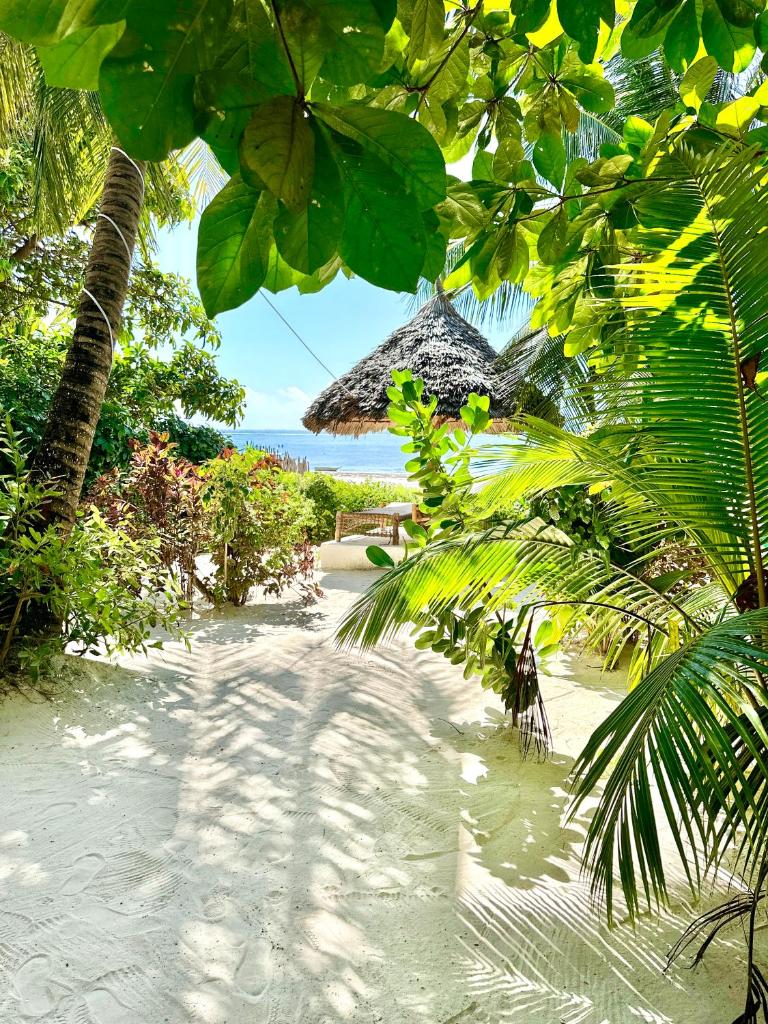 HEBE Bungalows Lodge photo 3