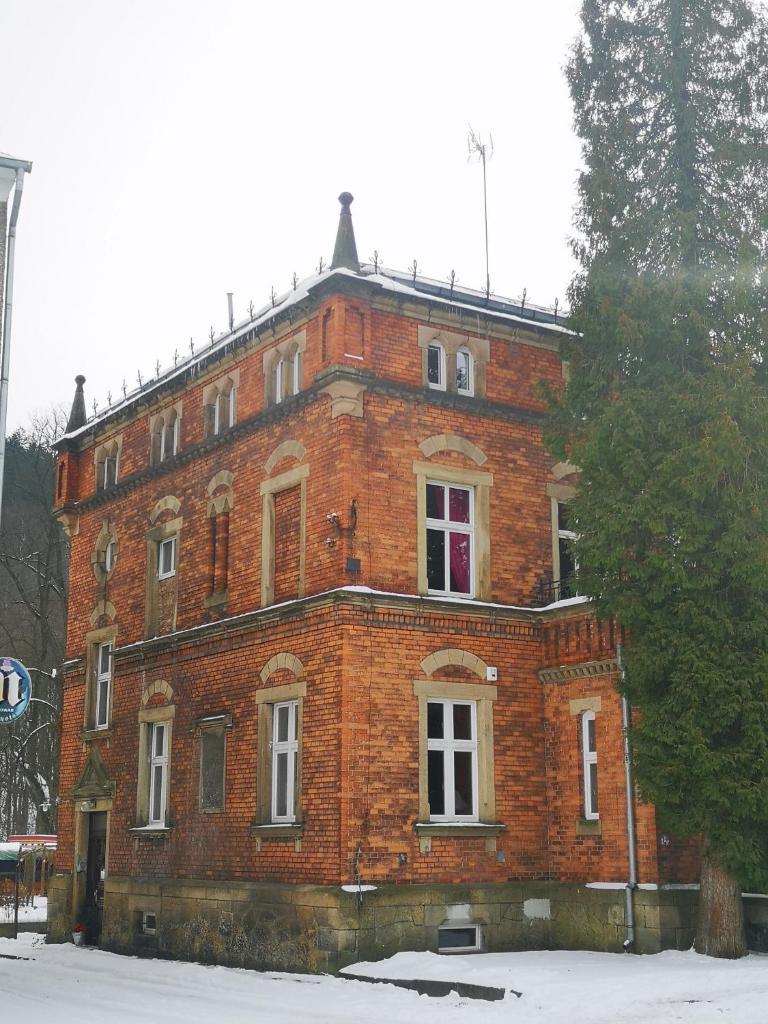 Kot Pocztowy photo 1
