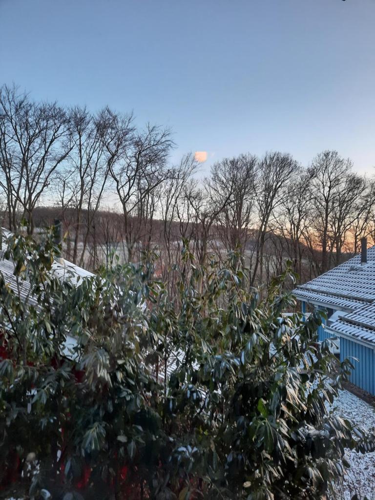 Ferienhaus "Auszeit mit Herz" im Ferienpark Extertal - Kamin, Fass-Sauna, Massagesessel photo 3
