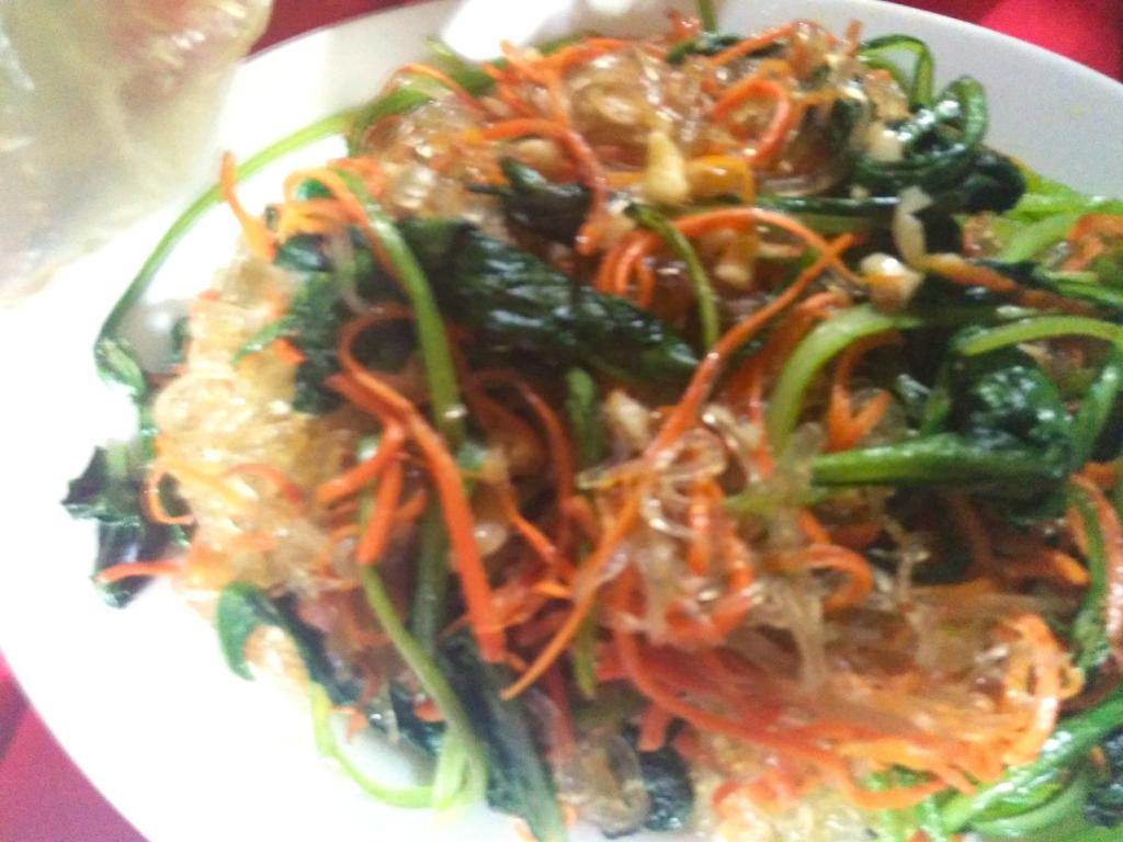 cat ba new city hostel