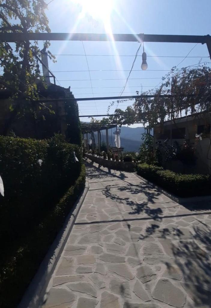 Guest House Xhelili photo 1
