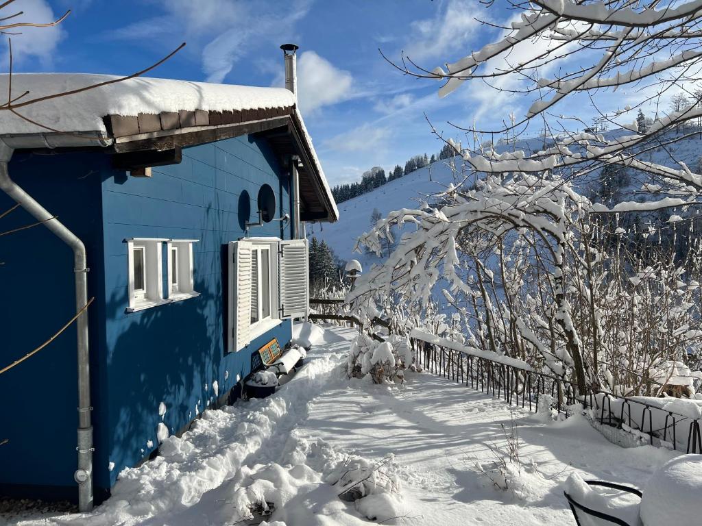 Platell Ferienhausverwaltung Sankt Andreasberg photo 1
