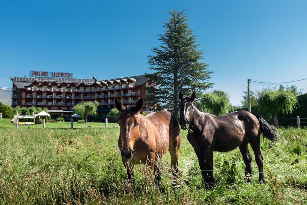 Puigcerda Park Hotel photo 2