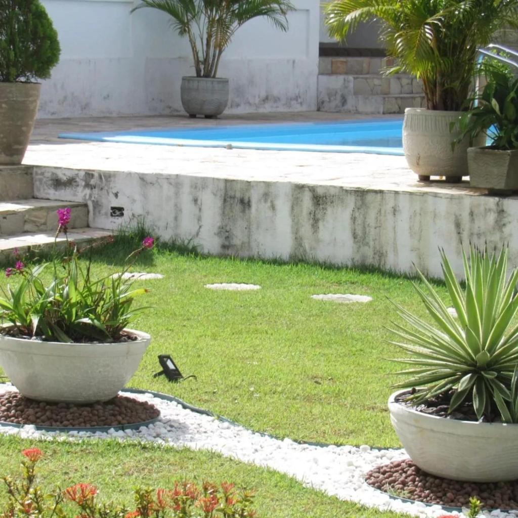 Granja Dona Dora photo 3