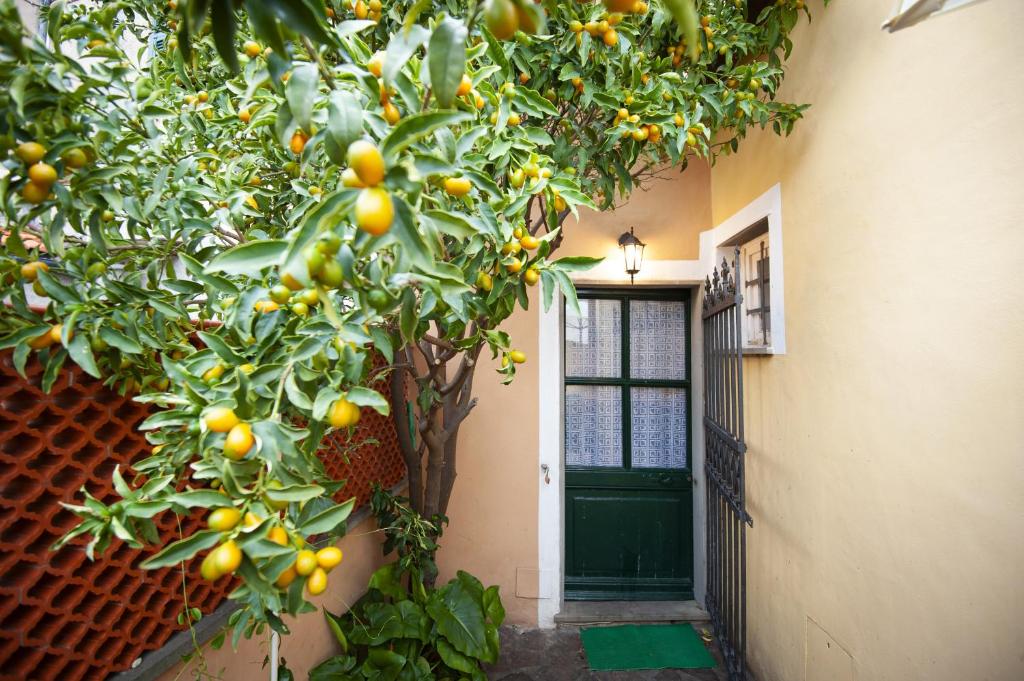 Casa La Gonza by Wonderful Italy photo 4