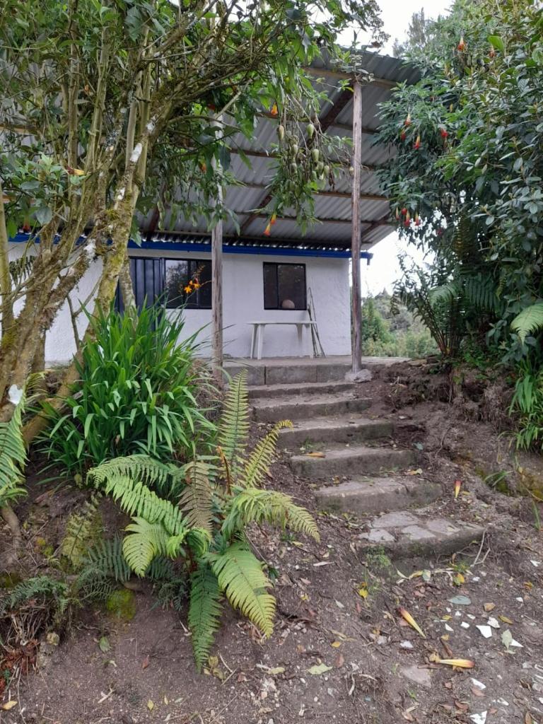 Acogedora cabaña entre las montañas de La Calera- Colombia photo 1