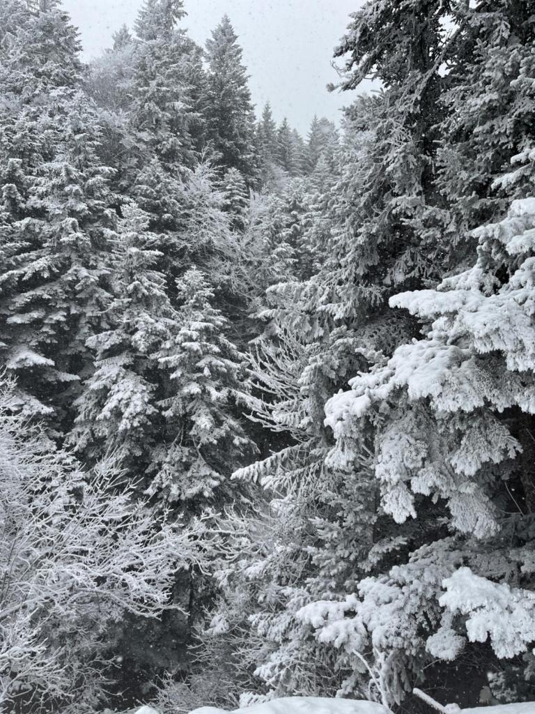 Gite à la ferme au coeur de l'Auvergne photo 2