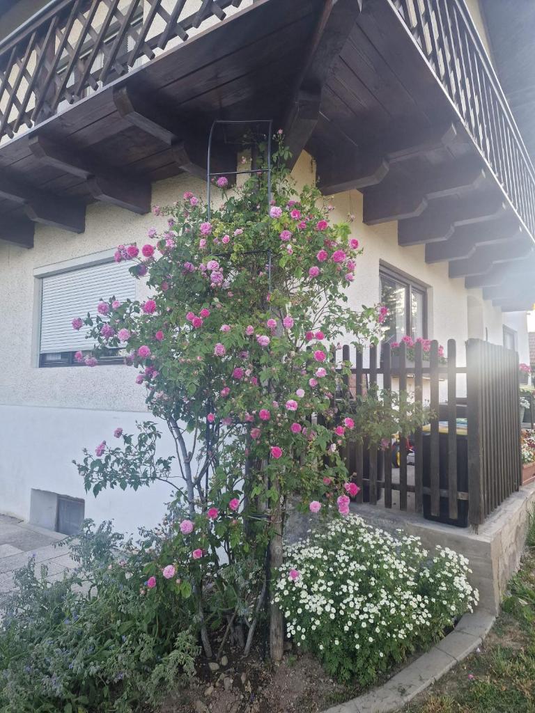Ferienhaus Josefine photo 4
