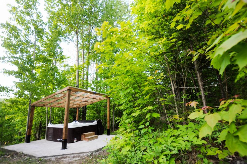 Chalet LExcentrique SPA et Nature photo 1