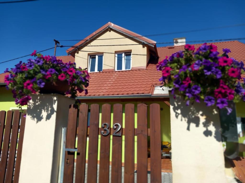 Guest House SAMSON photo 2