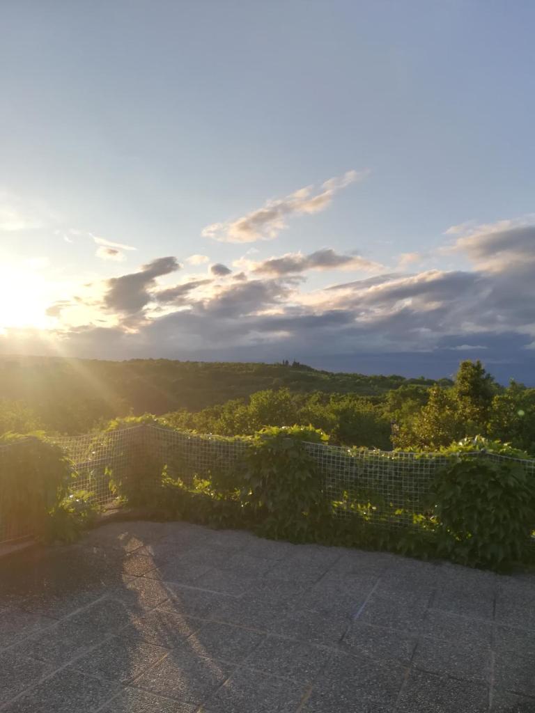Istria Divina photo 1