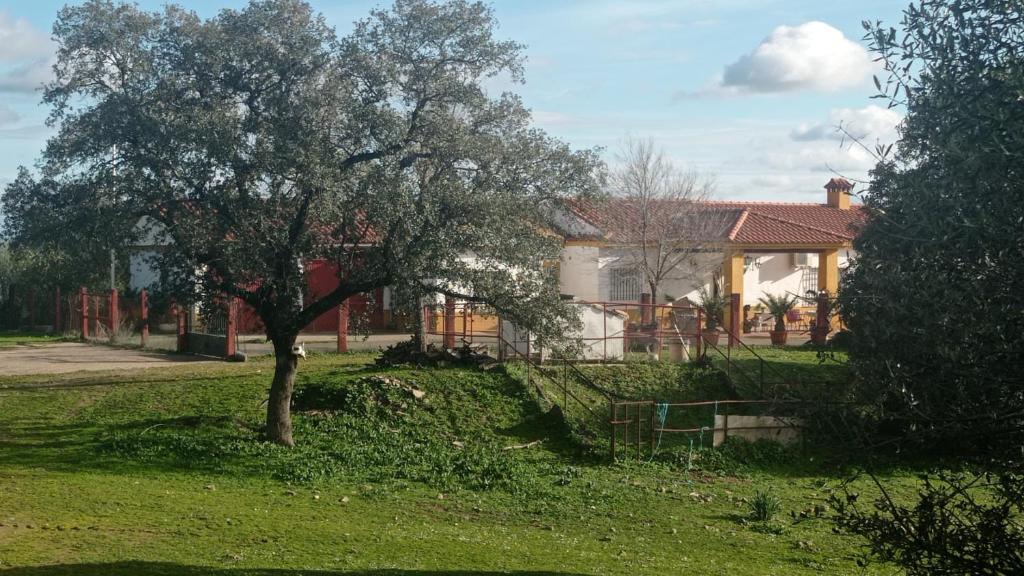 La Cabaña de la Cigarra photo 2