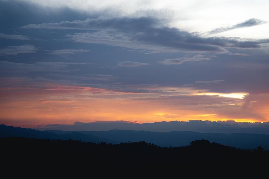 Glamping Quindio photo 4