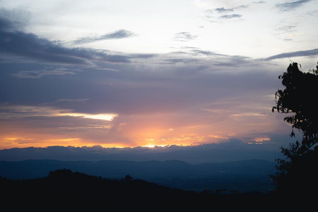 Glamping Quindio photo 3