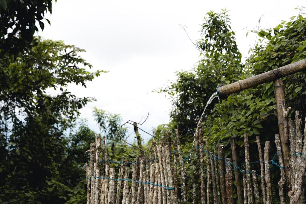 Glamping Quindio photo 2