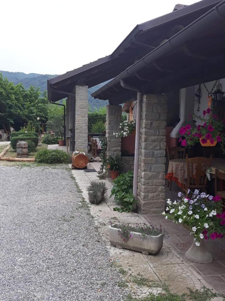 Agri BERTORELLA photo 3