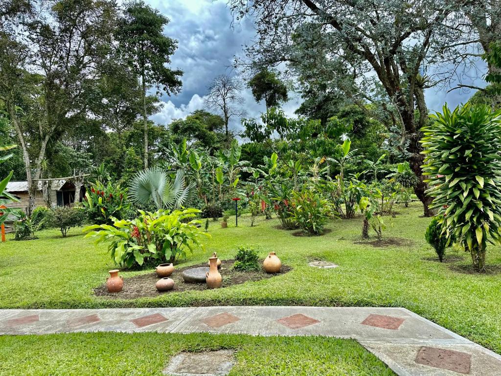 Finca cafetera Hernán victoria photo 4
