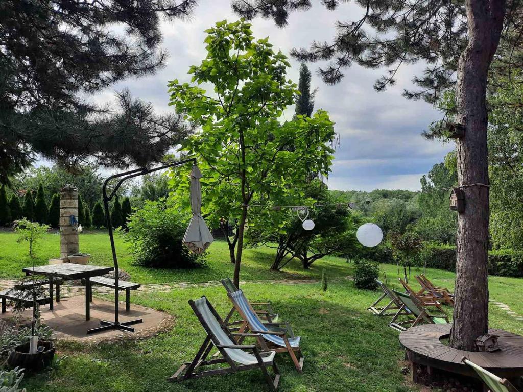 Vila Davidovic-Fruska gora photo 4