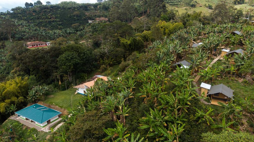 Glamping Jardín photo 1