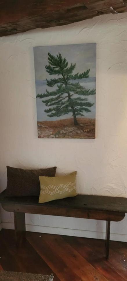 The Boshrock photo 3