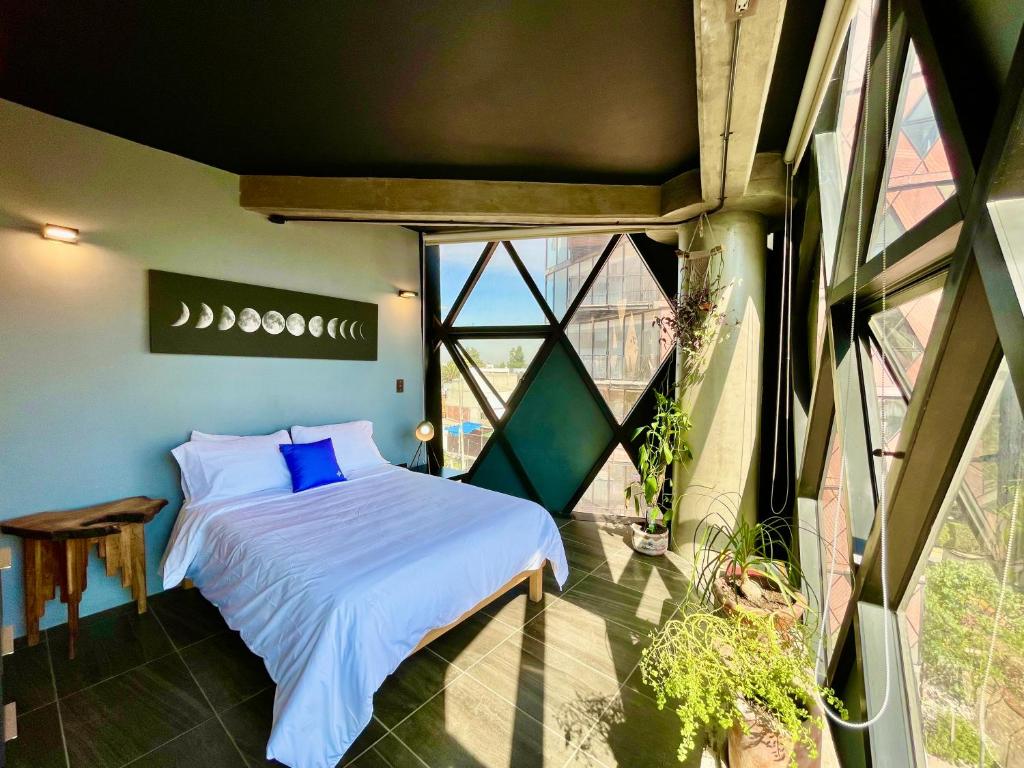 Loft Saint Peter photo 1