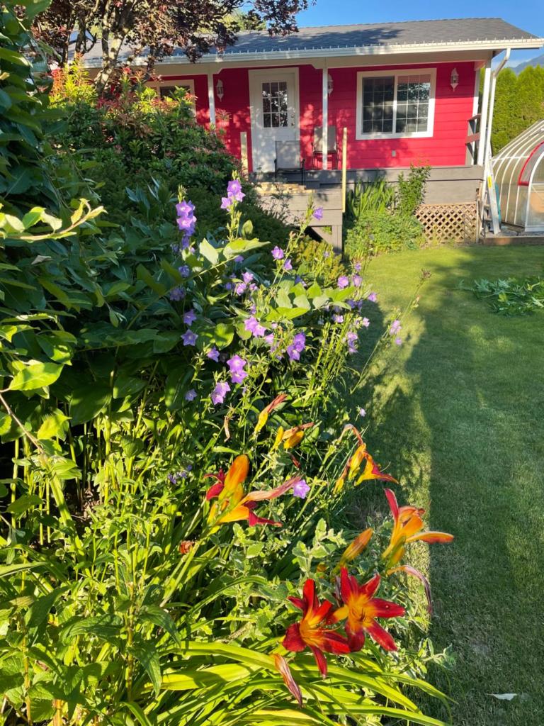 Mountainview Cottage photo 1