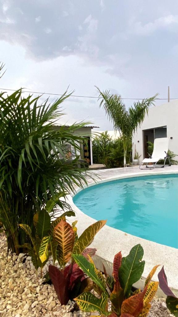 Casa campestre Mallorca photo 3