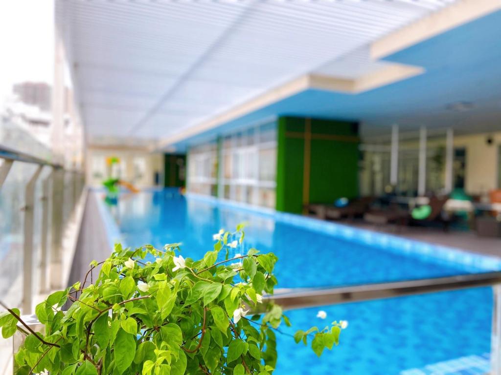 Khang Homestay - Goldsea Apartment ,Căn Hộ Du Lịch Cao Cấp Ven Biển