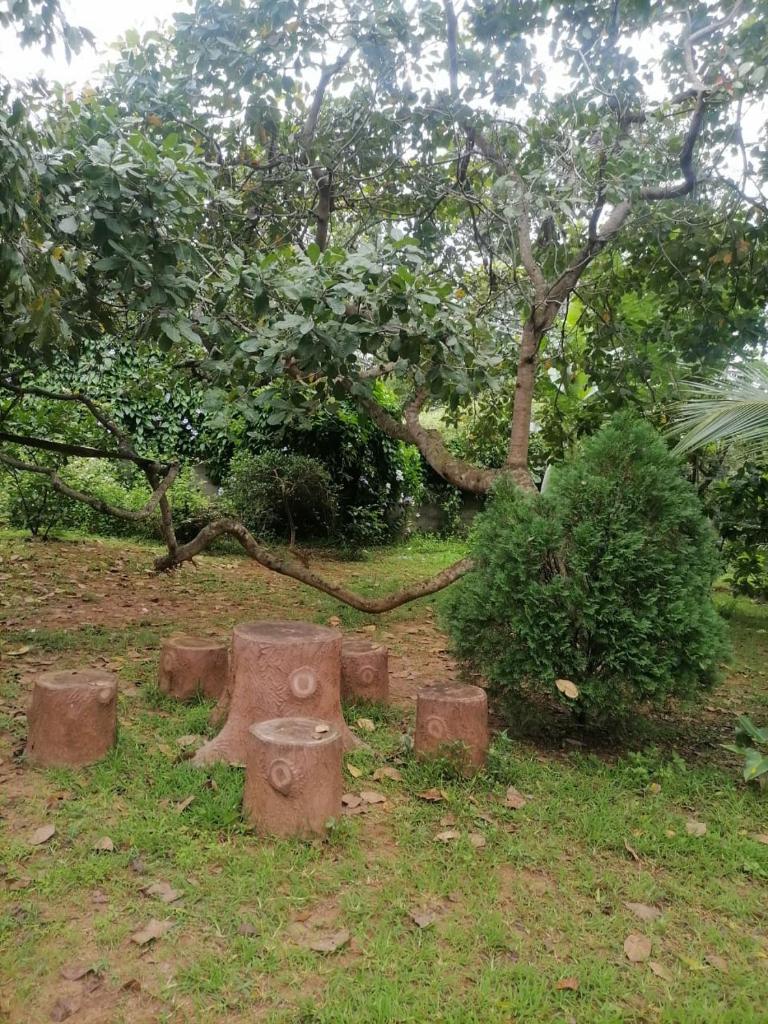 hotel raffles Anuradapura photo 1