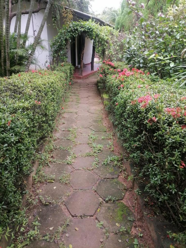 hotel raffles Anuradapura photo 2