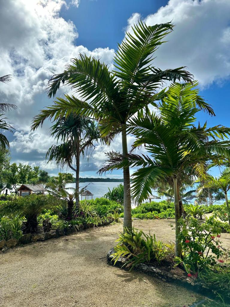 Nasama Resort photo 1