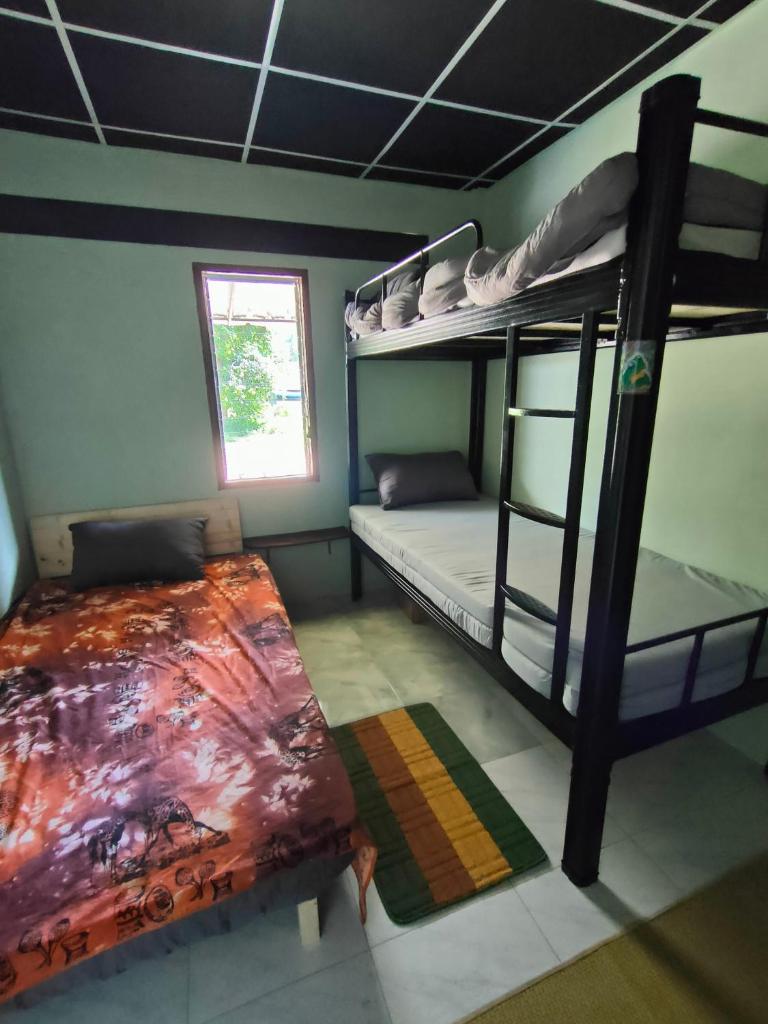 Tripovali guest 2 photo 1