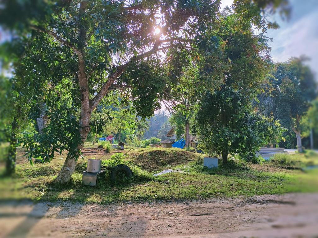 Tripovali guest 2 photo 3