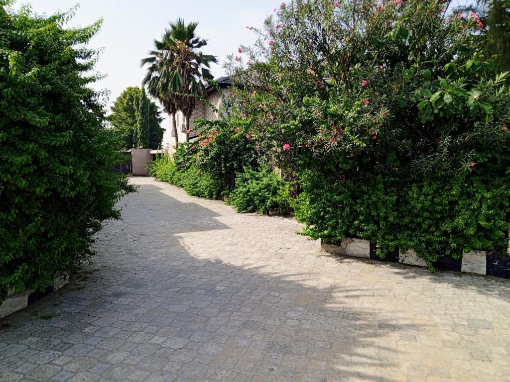 Jaiye's Place photo 1
