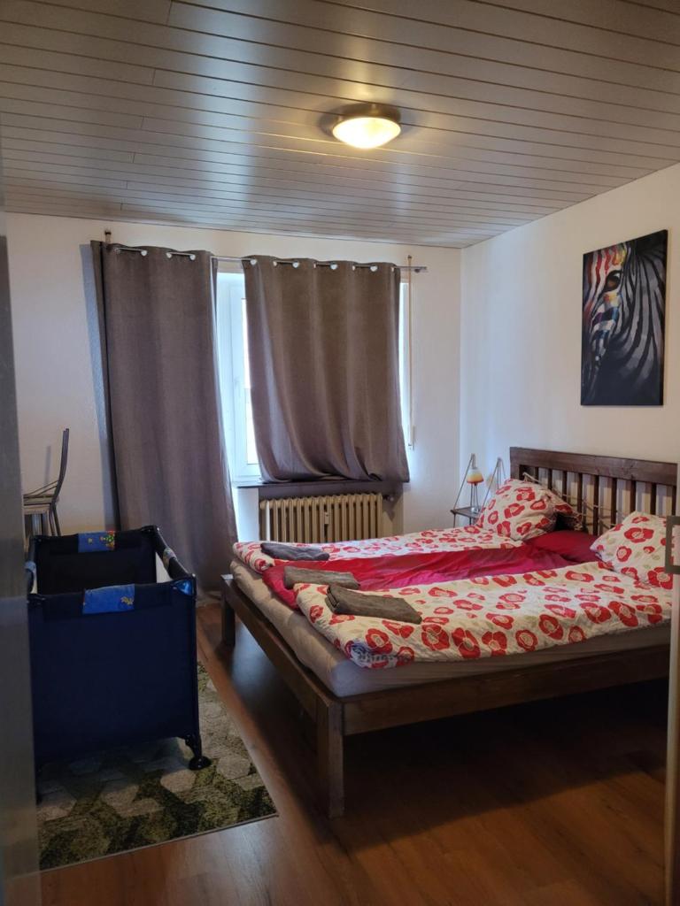 Apartments Nikol - Ludwigshafen photo 2