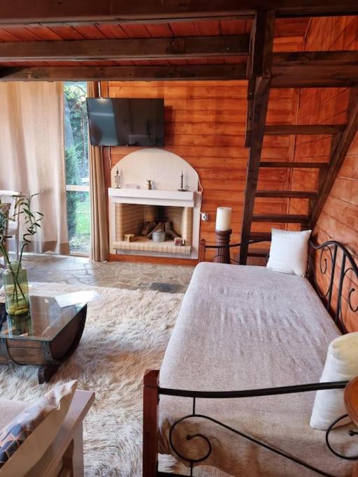 Ξύλινο Chalet Κτήμα Παππά photo 4