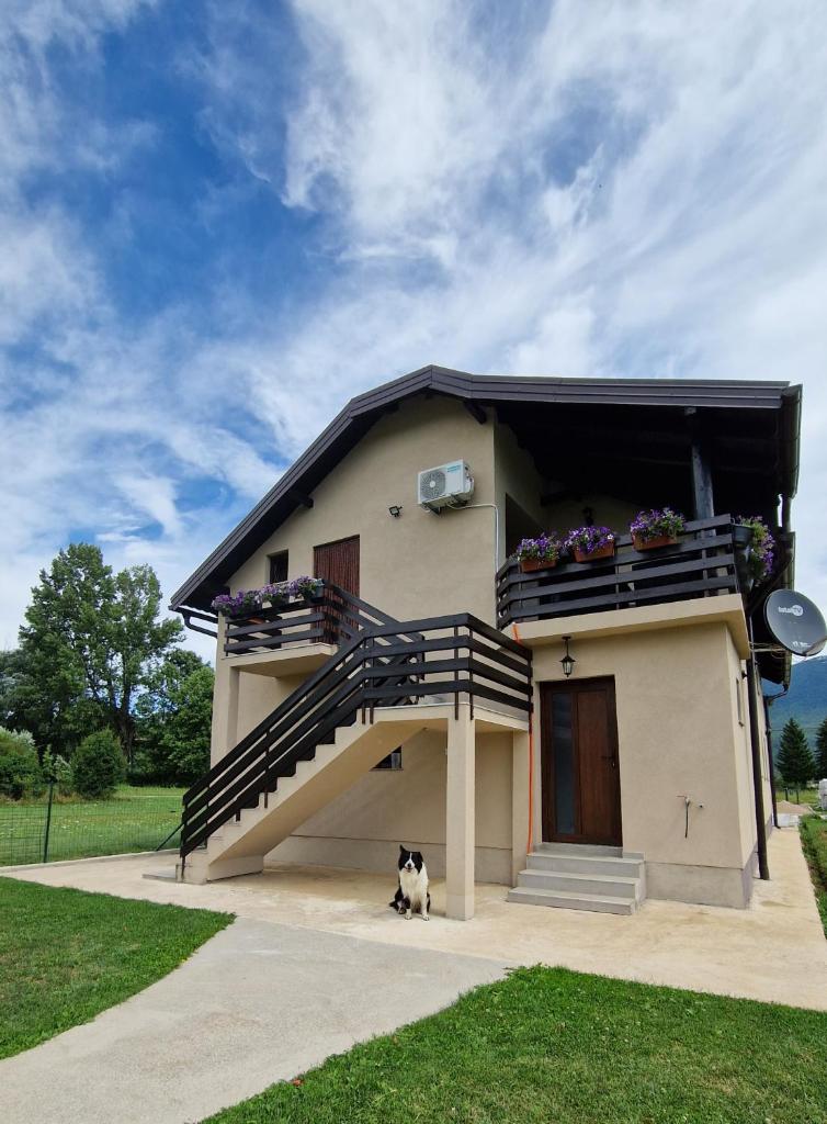 House Boketto photo 1