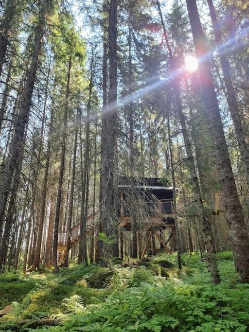 Treetop Ekne - Hytte i skogen med hengebru photo 2