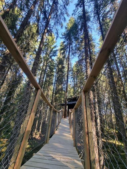 Treetop Ekne - Hytte i skogen med hengebru photo 1