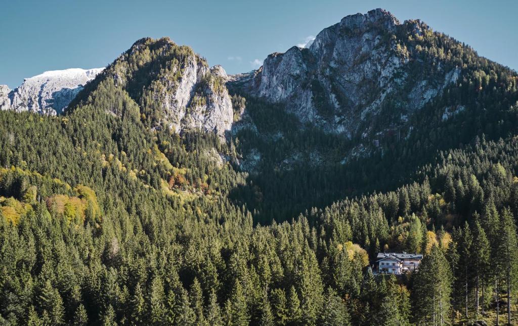 Alpeltalhütte photo 2