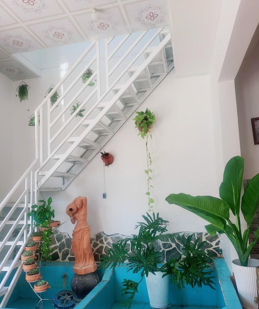 PAPA Homestay photo 4