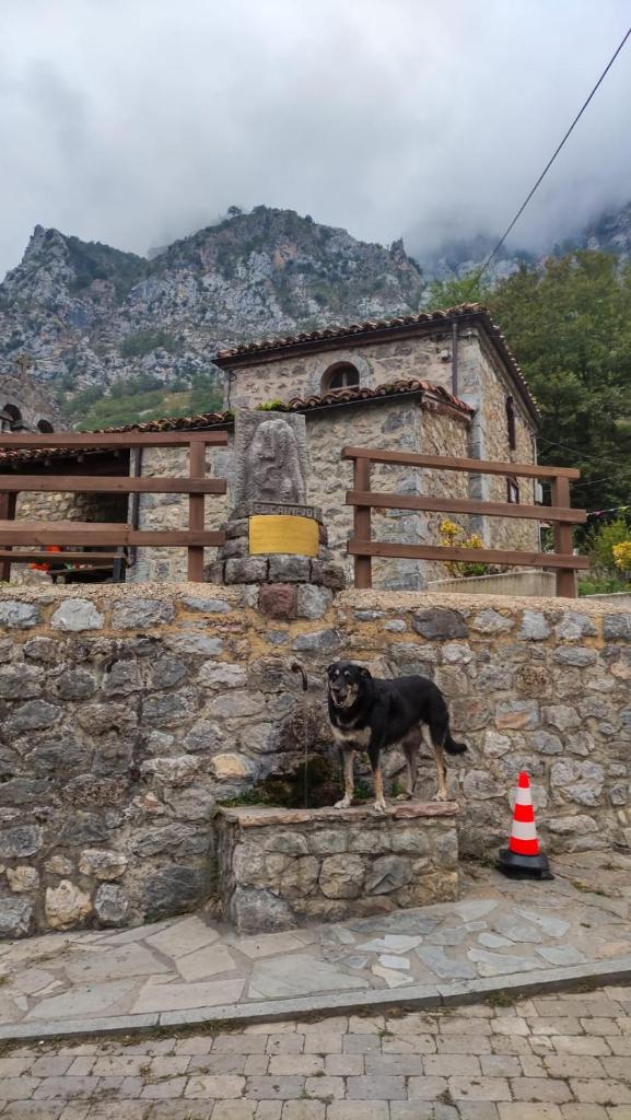 Albergue de Caín "El Diablo de la peña" photo 1