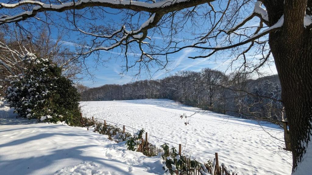Gartenblick photo 2