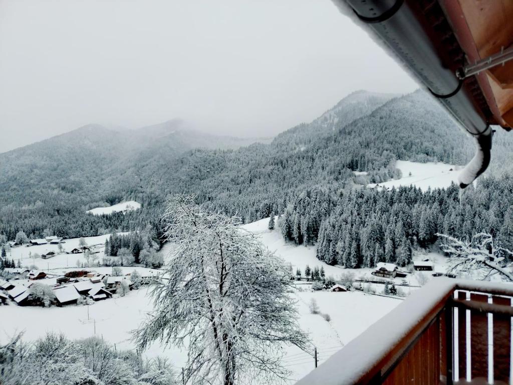 POČITNIŠKA HIŠKA LASTOVKA photo 4