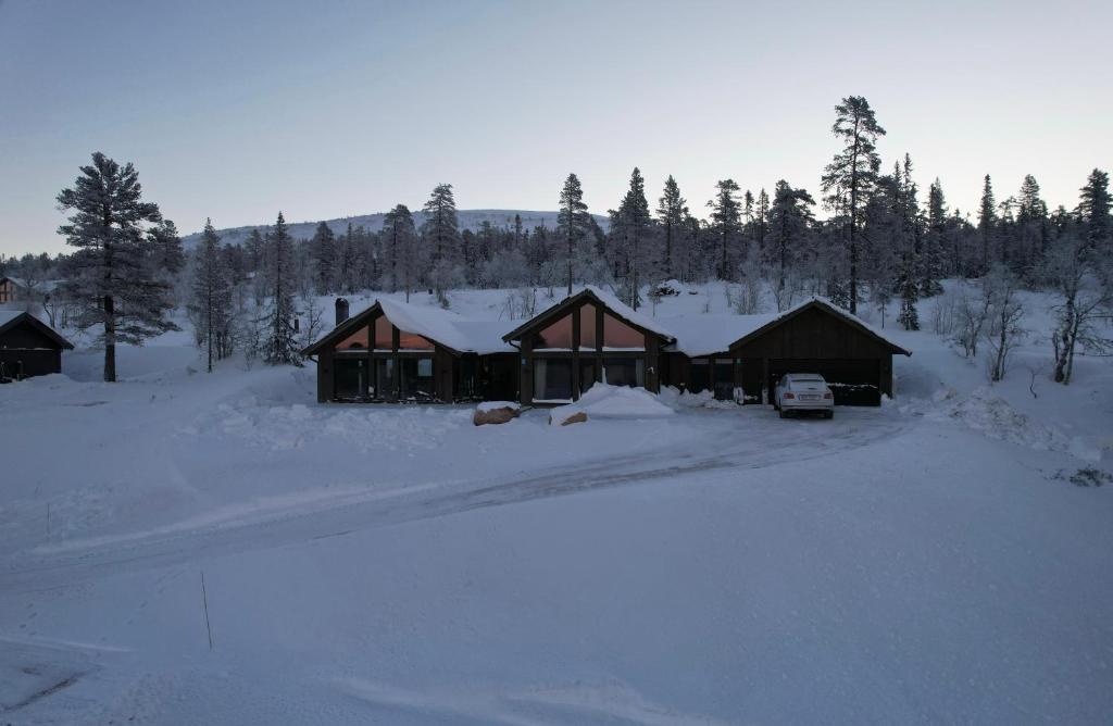 Luxurious Mountain Lodge